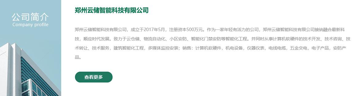 软件开发公司